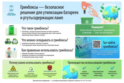Обратите внимание на гринбокс — контейнер для сбора батареек и ртутьсодержащих ламп!