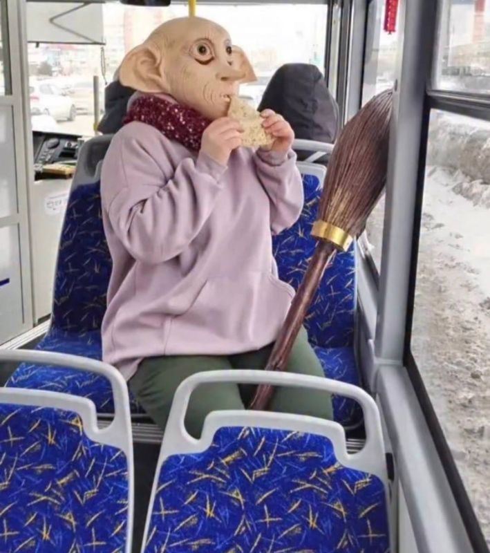 В тюменском автобусе заметили Добби