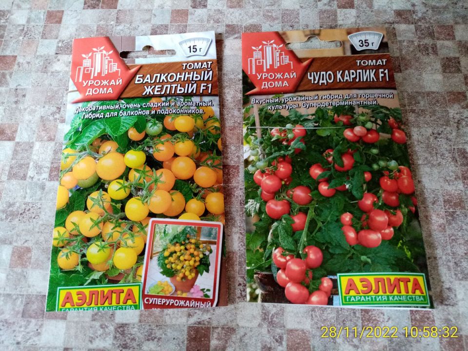 Как прорастить балконные томаты: личный опыт и советы