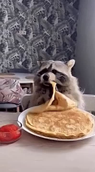 ������ ����. ������� �������� ����������� ���� ����������� ������ ���� � ����� �������� � ��������� �������� � ������� ��� �����