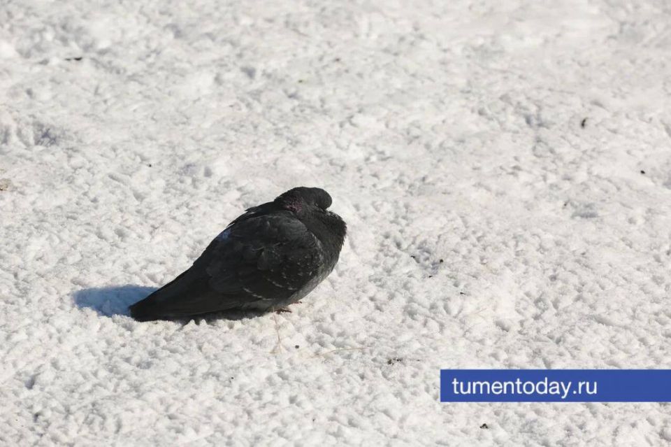 �� ������� ��������� �������� ������ � � ��������� ������� ������������ �����������