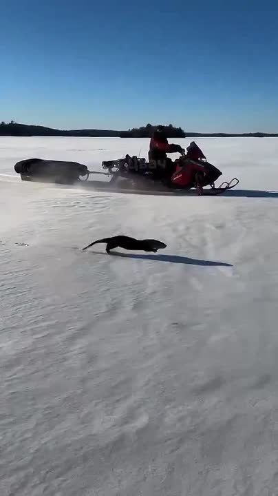 ������ ����� �� ������� �� �������