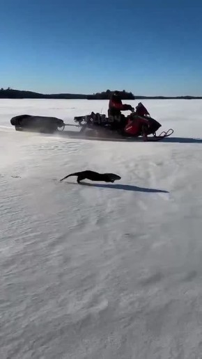 ������ ����� �� ������� �� �������