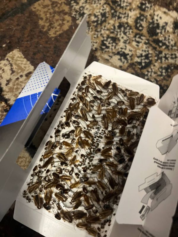 �������� ��������� ������� �������� �� �������, 3�