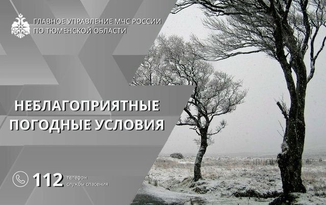 Главное управление МЧС России по Тюменской области информирует