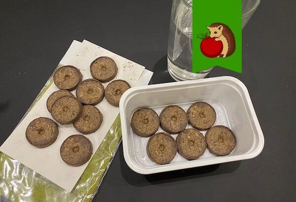 ����������� ������� ������������� �������� �������� ��� �������