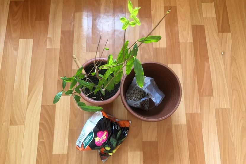 ������ ��������� ������. ���������, �������, �������� ����� �������� � ������� ��������� ������