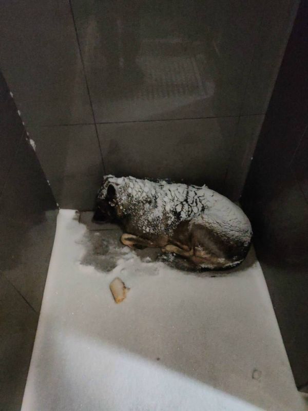 ������� ����� ������ ������� �� ��, ��� �� ����� ���������� ������ � 20-��������� �����