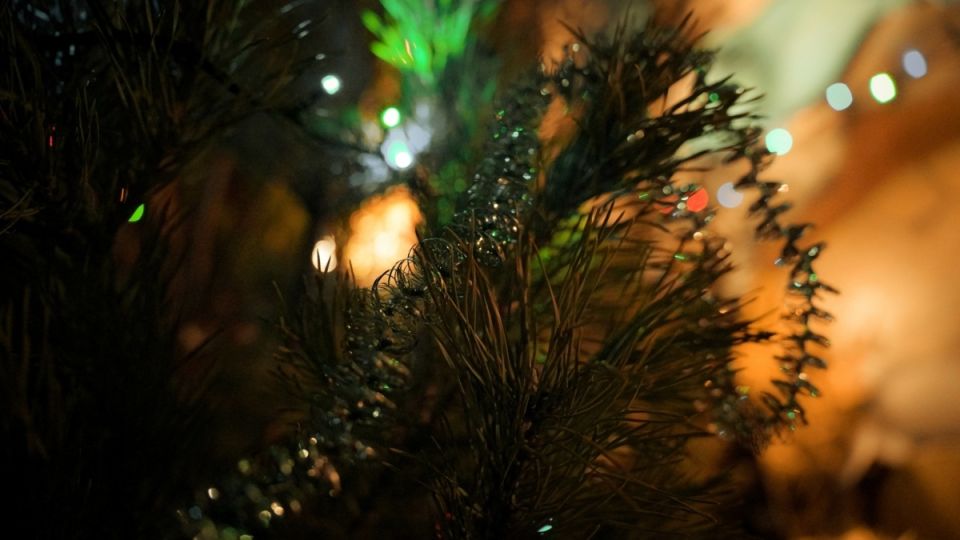 ��� ������� �������� � ���: ������� ������ �� ���������� �������