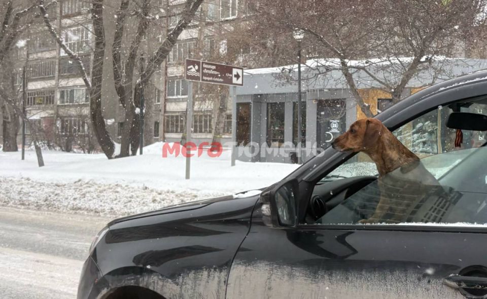 ���� ������� ������ �� ���������� � ������!