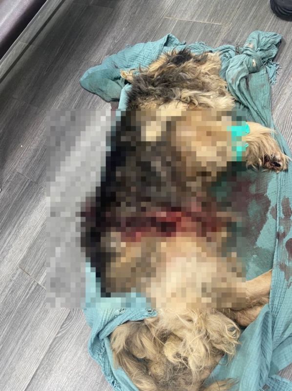 ���������� ������: ������� ����� ������������� ������, �������, ��������, ���� �� ����� ������� ���������