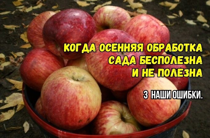 ������ ������� ��������� ����: ��� �������� ����������