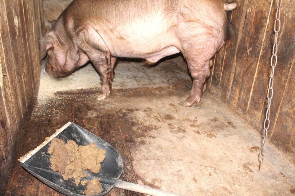 ����� ������� ������: ������ � ������� ������������� � �������