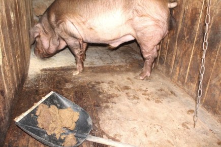 ����� ������� ������: ������ � ������� ������������� � �������