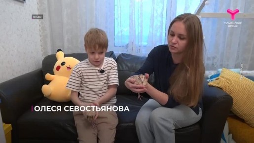 Школьник из Нового Уренгоя вырастил двух перепёлок в домашних условиях