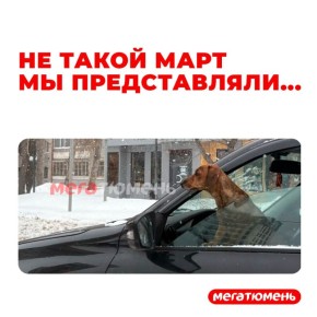 �� ������ ����������� 30-��������� ������ � ������ ���������� � �����, ��� ������ ������ "������� ���� �������" � ��������� �������