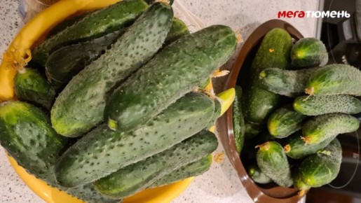 � ������ ������� ������ ����������� ��-�� ������������� ��� �� ������