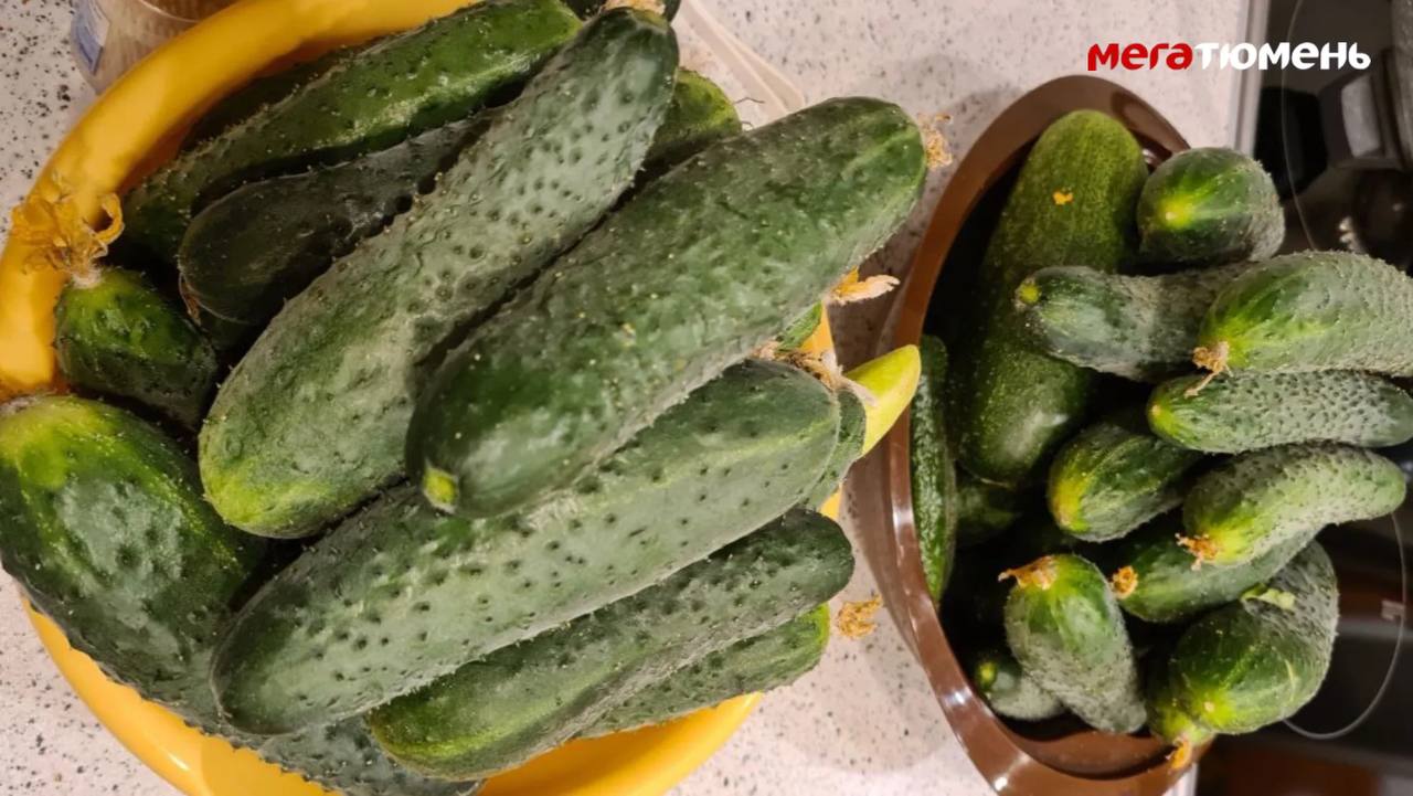 В Тюмени местные жители возмутились из-за «космических» цен на огурцы