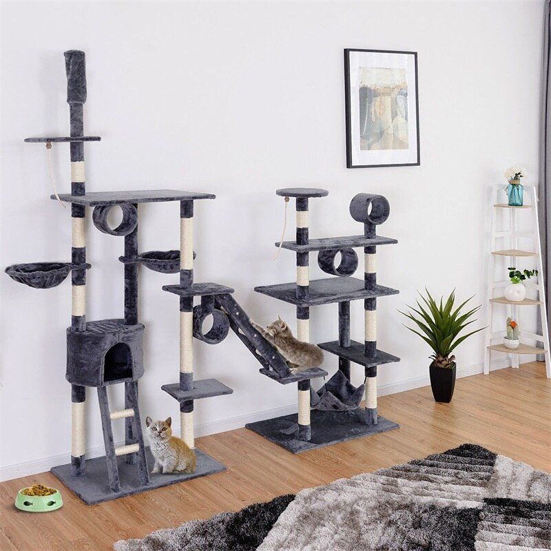 ������� ���������: ������� ��� ������������� ��� ������ �������?