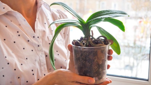 ������ ���������� ��������� ����� ��������� ����� ���������