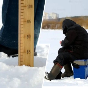 ������! ������ ���������, ����� ��� �����, ��� ��� ������: ��������� ������ ��������� ������� ���� �� ��������� ������