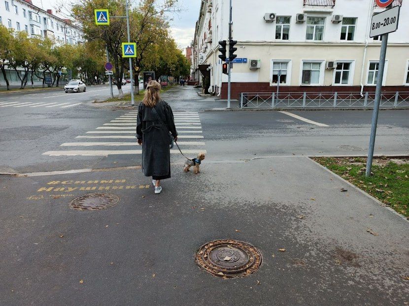 � ��������� ������� �������� ������������� ����� � �����