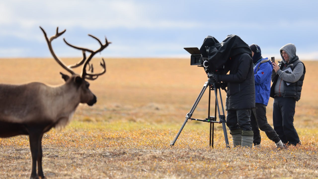 На российские экраны выходит мистический триллер «Цинга», съемки которого проходили на Ямале На российские экраны выходит мистический триллер «Цинга», съемки которого проходили на Ямале