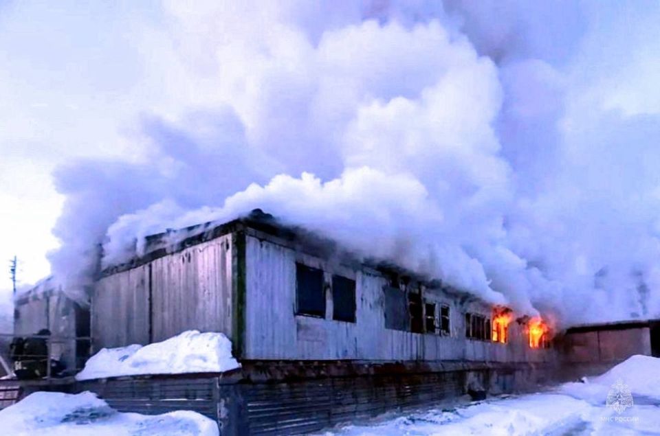 ��������� ����� �������� ��� ������� ������ �����: ����� 10 ���������� ������ ����������