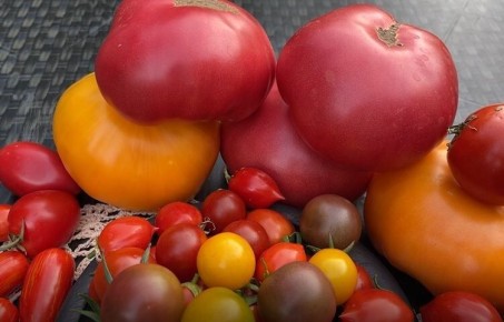 Как неблагоприятное лето обернулось невероятным урожаем