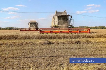 ������ �������: ��������� ��� � ��������� ������� ���� � ������� �����������