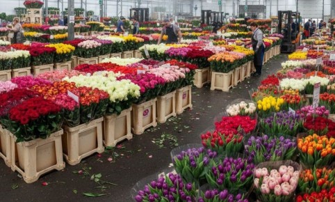 8 ��������� ������ ������� �� ���� � 8 �����