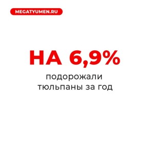 Около 4 тысяч рублей придется отдать мужчинам, чтобы подарить женщинам букет из 15 тюльпанов на 8 марта