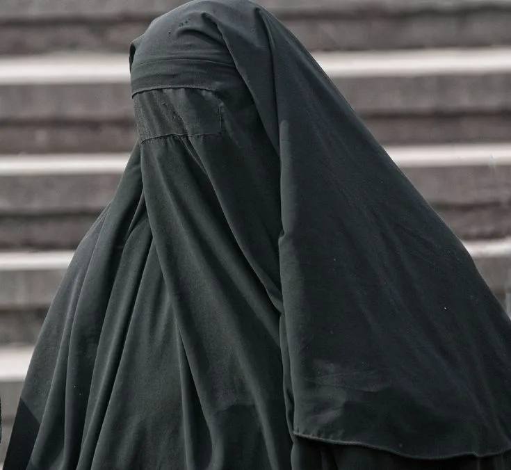Никабы под запретом? Чиновники хотят ввести штрафы за их ношение Никабы под запретом? Чиновники хотят ввести штрафы за их ношение