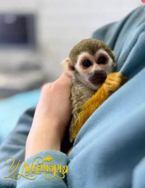 ���������� �� �� ���������� ������� ��������� �� ���������