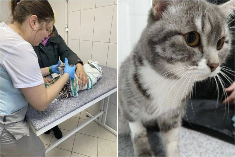 � ������ ������ ����, �������� �������� ��������� � ������� �� �������