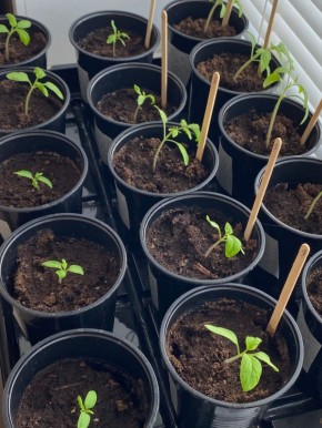 �� ���������� �����: ��� �������� �������� � ������ ���������� ���