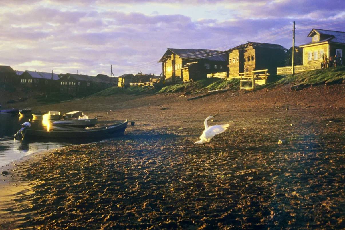 Символично, что именно в первый день весны свой день рождения отмечает фонд, в названии которого заложена та же суть – «Возрождение» Символично, что именно в первый день весны свой день рождения отмечает фонд, в названии которого заложена та же суть – «Возрождение»