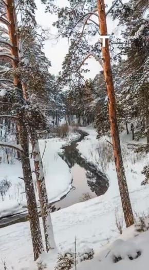 �� ������-�������� ���������� ��������� ������ ��� ��������