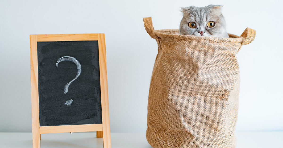 Новый взгляд на годовой отчёт УО и ТСЖ: что нужно знать