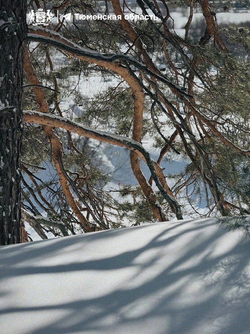 Тюменцы, с первым днем весны! Тюменцы, с первым днем весны!