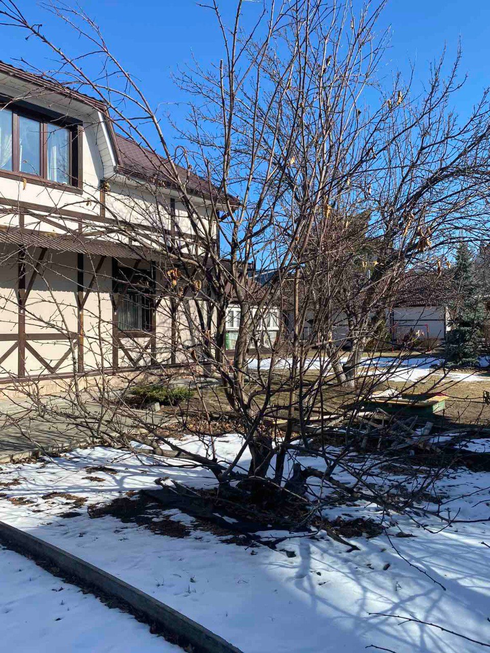 Не пропустите весну: чем заняться садоводу в первые мартовские дни Не пропустите весну: чем заняться садоводу в первые мартовские дни