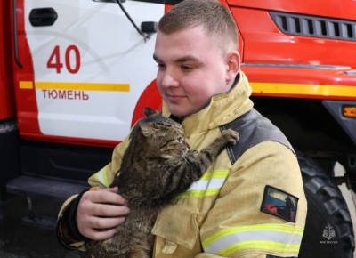 ������� ���������� ���� �����