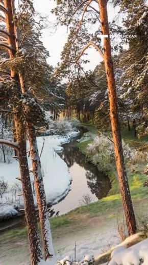 С первым днём весны!. Зима официально позади, а значит нас ждет больше света, тепла и новых планов