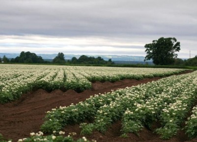 ��� ����� �������� ����� ����������� ������