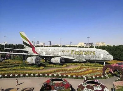 ������� �� ������ �������� �����: ��� ��������� ������� �� �������� � ���