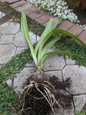 ������������: ��� ���������� ����������� �������� ������ � �������� ������