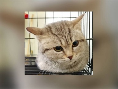 ����� ��� ���������������� ���� - ������������� ���� �����!