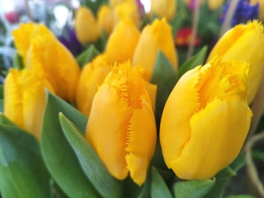 � ��������� ��������� ��������� 300 000 ��������� � 8 �����