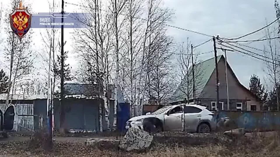 ��� ������� ���������������� � ����: ��������� ������� ��������