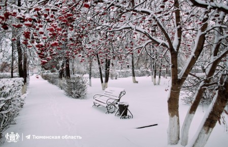 В Тюменской области ожидается похолодание